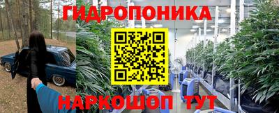 крисы Гусь-Хрустальный