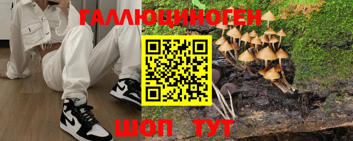 Галлюциногенные грибы Cubensis  Вход с VPN  Мариинск  Галлюциногенные грибы MAGIC MUSHROOMS 