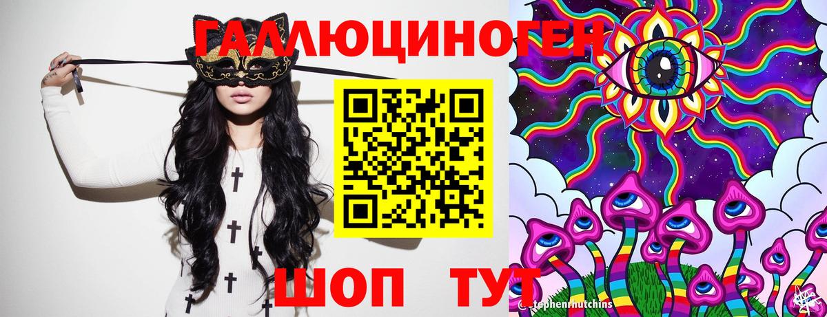 Псилоцибиновые грибы Psilocybine cubensis Мариинск